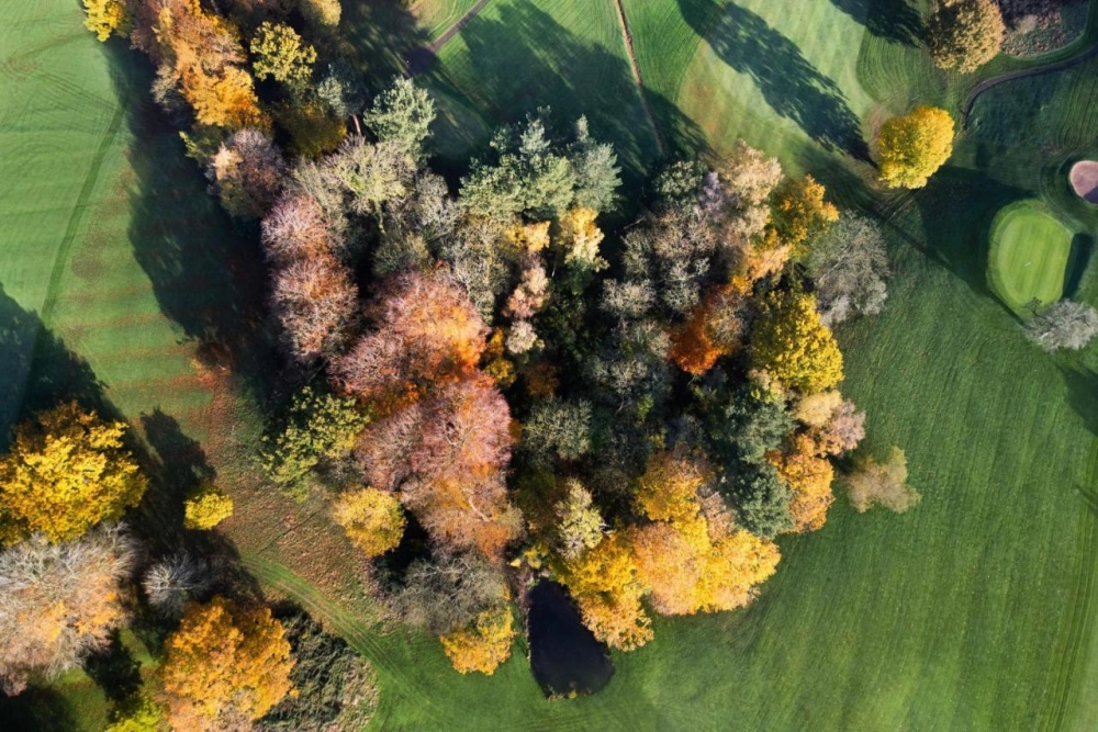 Delta Hotels by Marriott Breadsall Priory Country Club - Hotel Photo 37