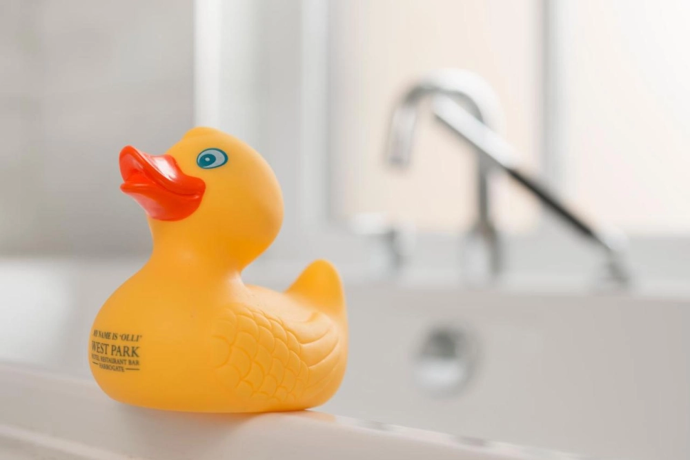 The West Park Hotel - Hotel Photo 29