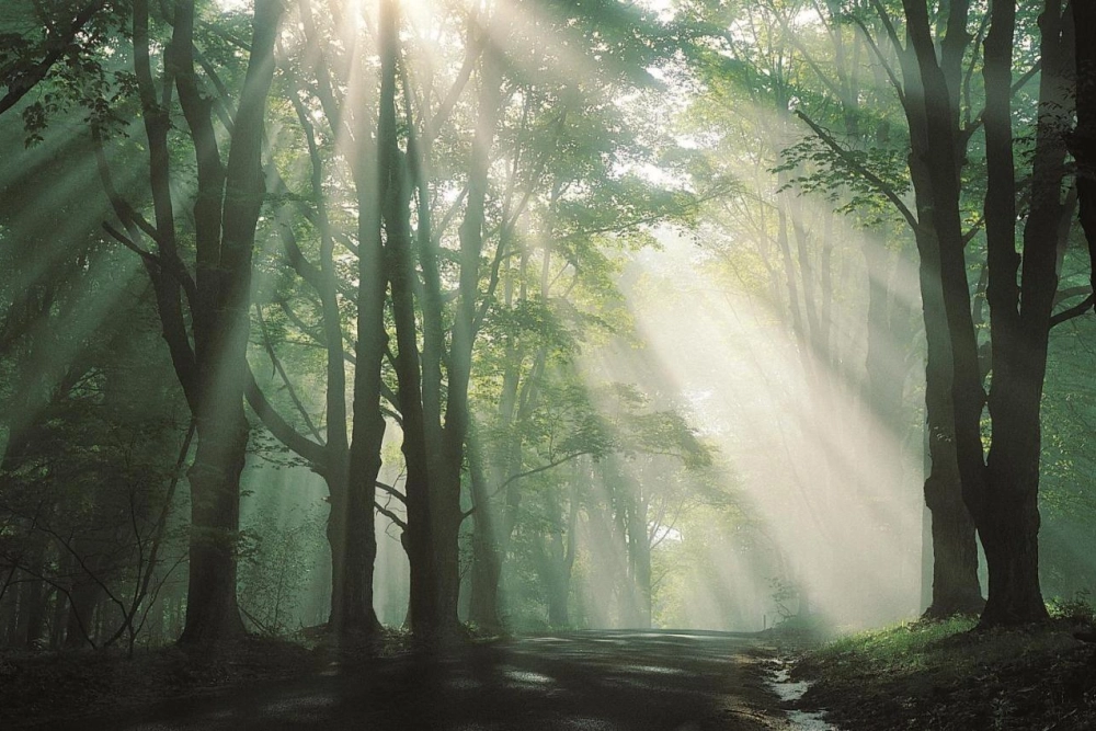 Macdonald Leeming House - Hotel Photo 32