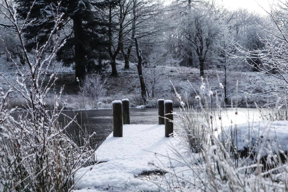 Wild Boar Estate - Hotel Photo 12