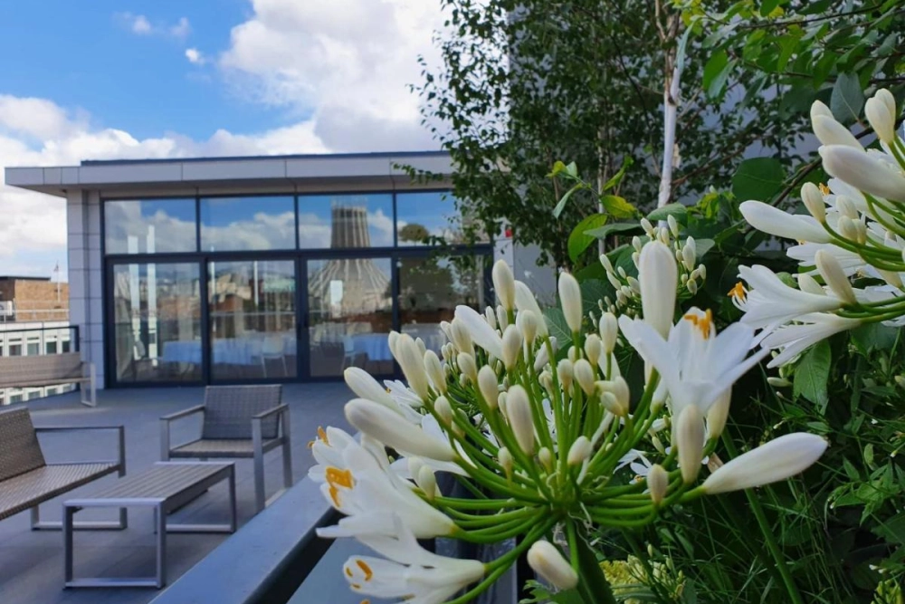 Hope Street Hotel - Hotel Photo 4