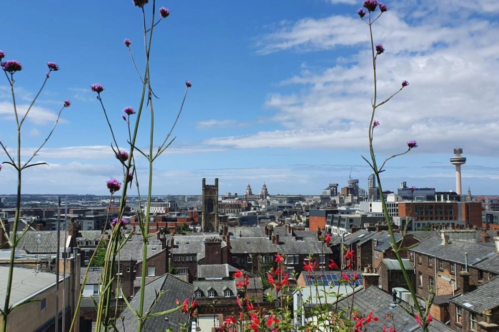 Hope Street Hotel - Hotel Photo 27