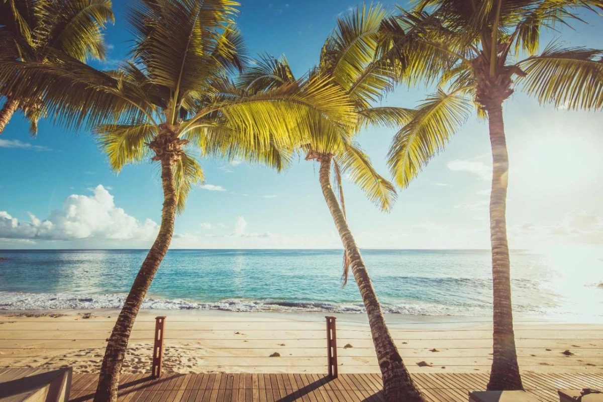 Carana Beach Hotel - Hotel Photo 39