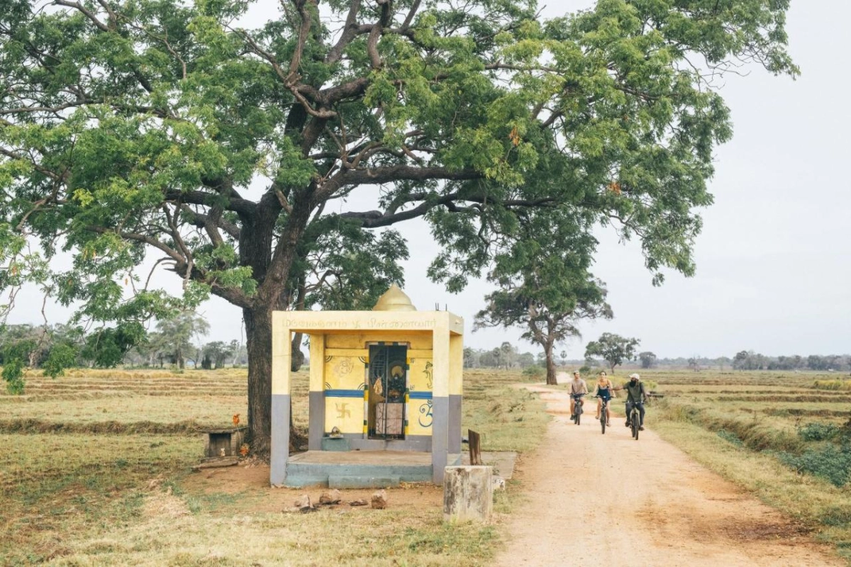 Jungle Beach by Uga Escapes - Hotel Photo 47