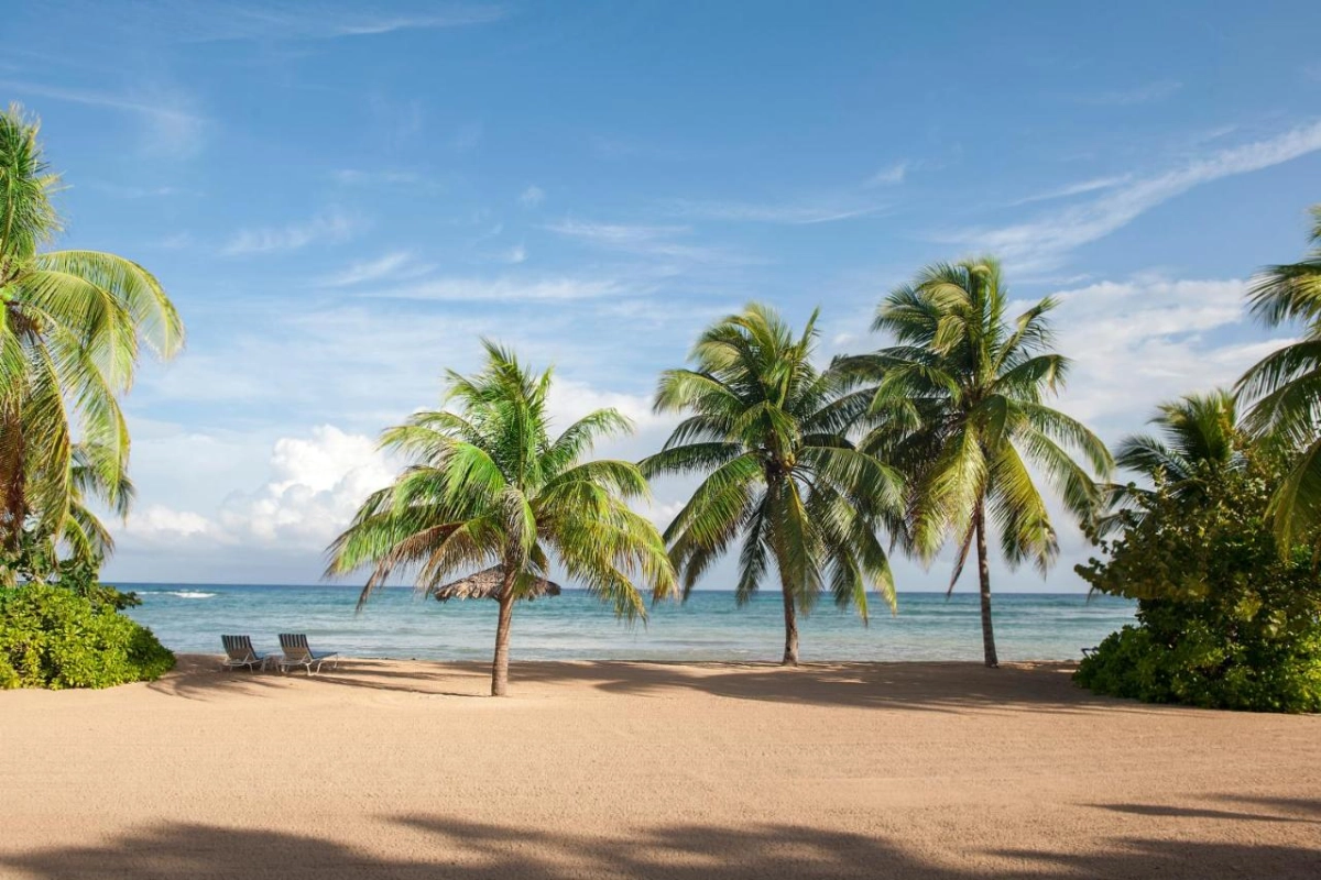 Half Moon - Hotel Photo 11