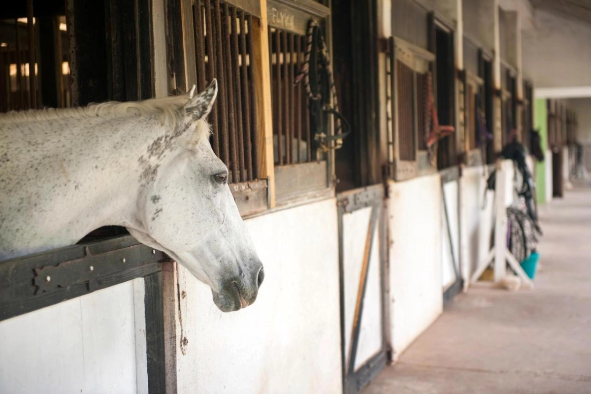 Half Moon - Hotel Photo 24