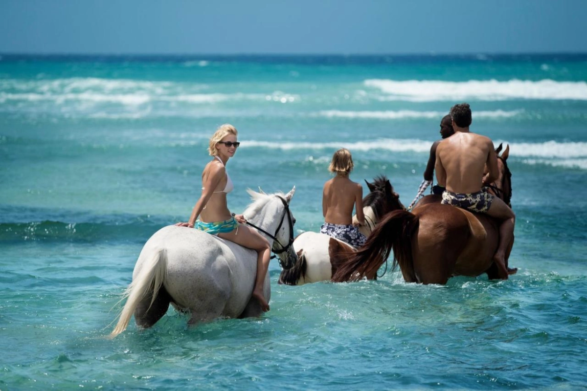 Half Moon - Hotel Photo 69