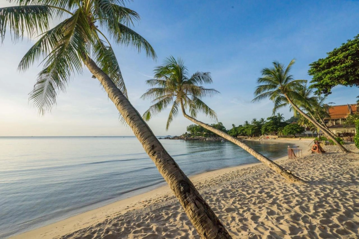 Samui Paradise Chaweng Beach Resort & Spa - Hotel Photo 8