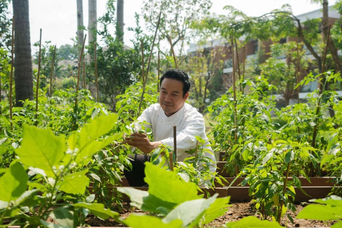 Hyatt Regency Koh Samui - Hotel Photo 31