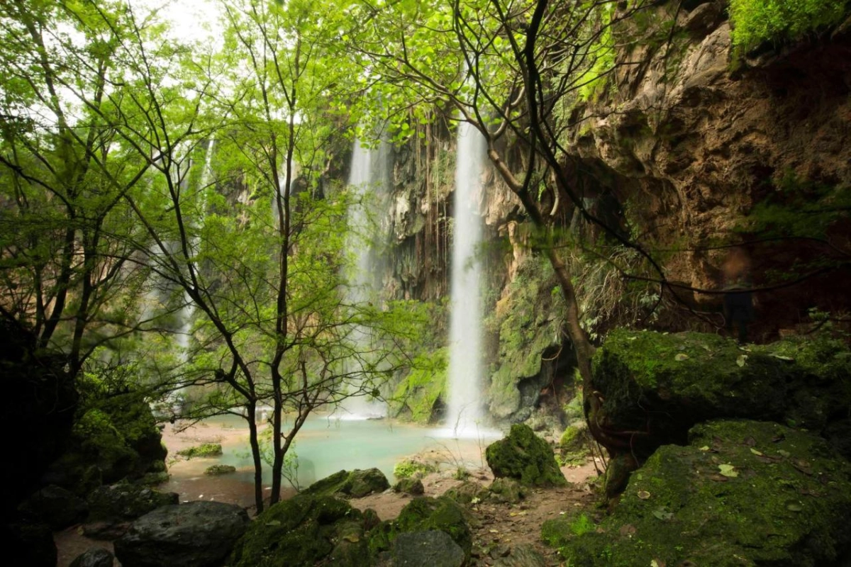 Al Baleed Resort Salalah By Anantara - Hotel Photo 41