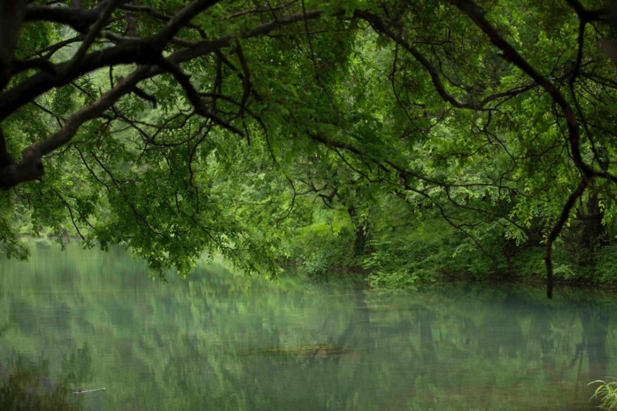 Al Baleed Resort Salalah By Anantara - Hotel Photo 56