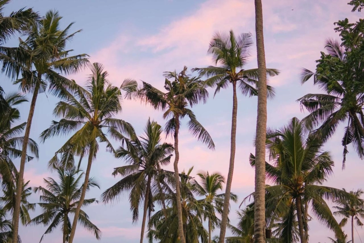 Alila Manggis Hotel - Hotel Photo 10