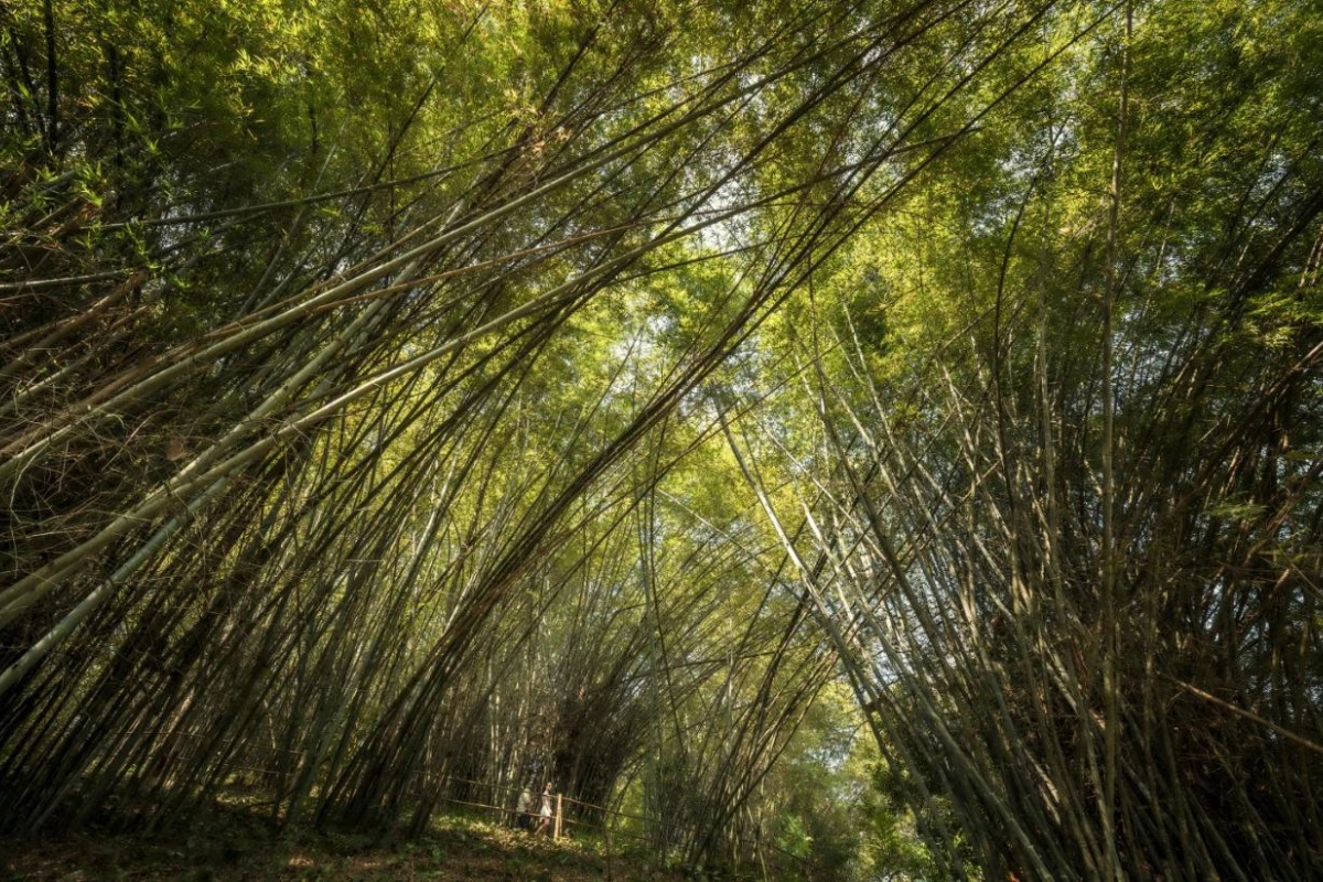 Four Seasons Tented Camp Hotel - Hotel Photo 51