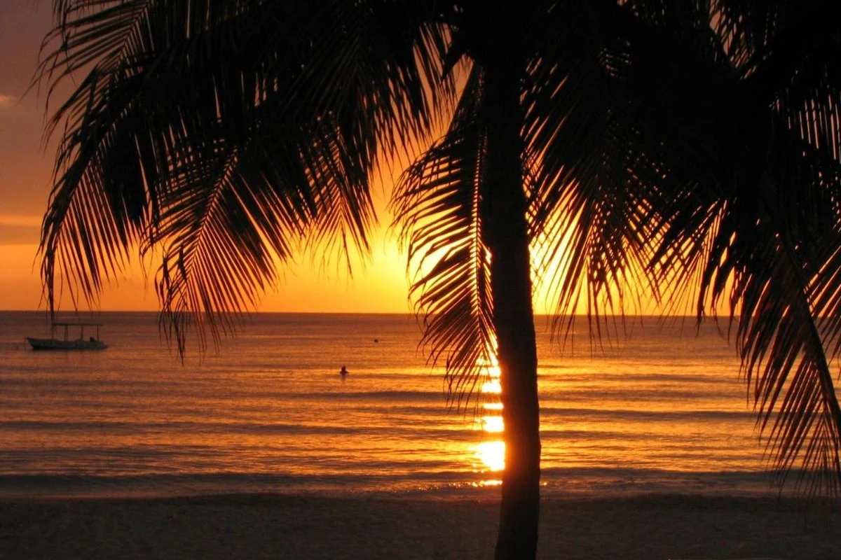 S Hotel Montego Bay - Hotel Photo 20