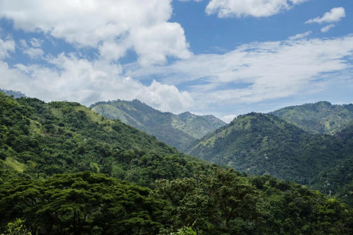 Strawberry Hill - Hotel Photo 27