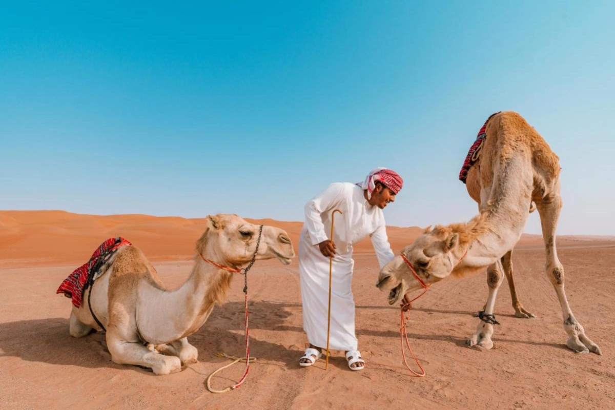 Desert Nights Resort - Hotel Photo 18