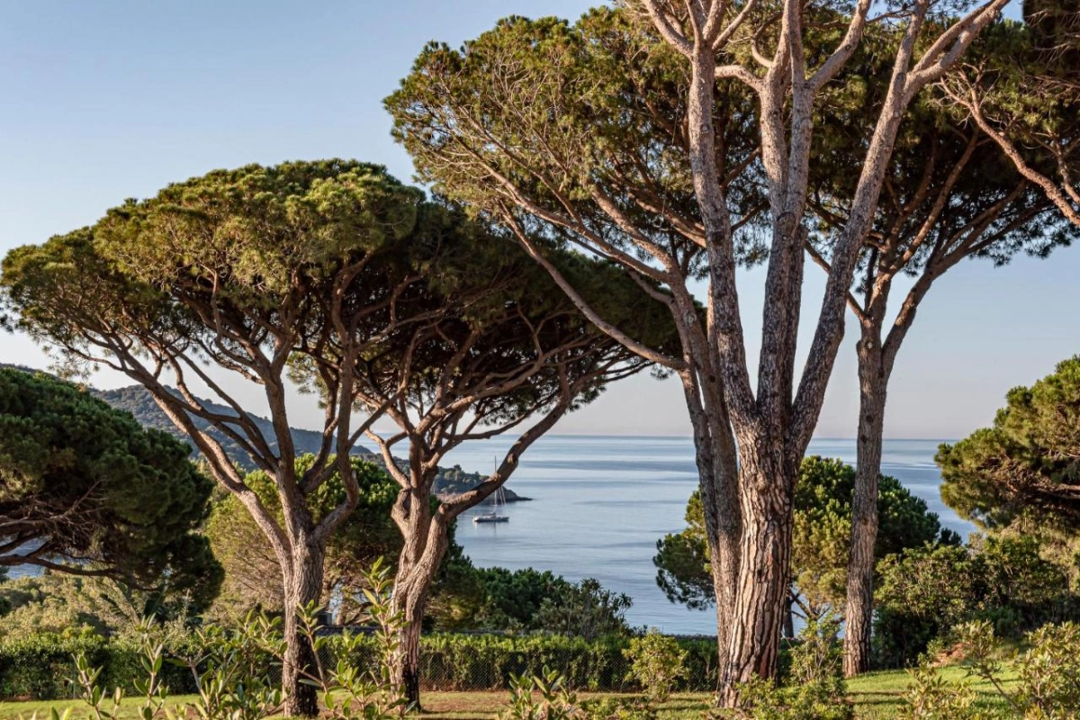 Hotel Lily of the Valley - Hotel Photo 18