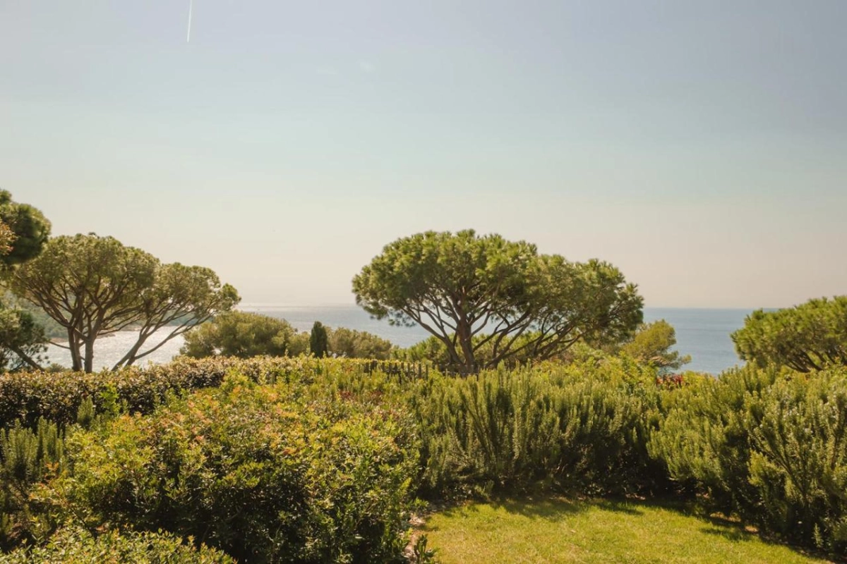 Hotel Lily of the Valley - Hotel Photo 42