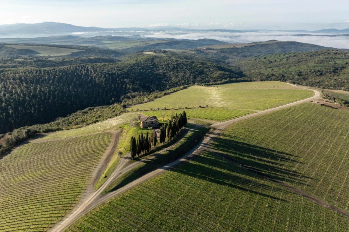 Rosewood Castiglion del Bosco - Hotel Photo 19