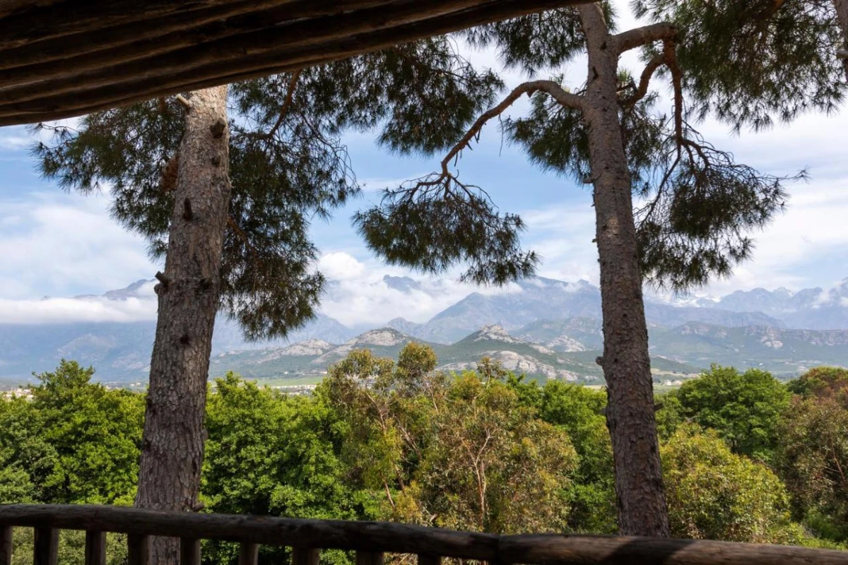 La Signoria - Hotel Photo 46