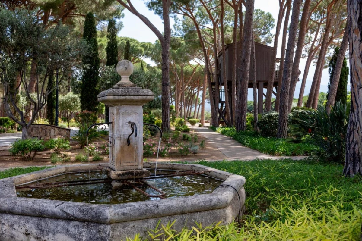 La Signoria - Hotel Photo 49