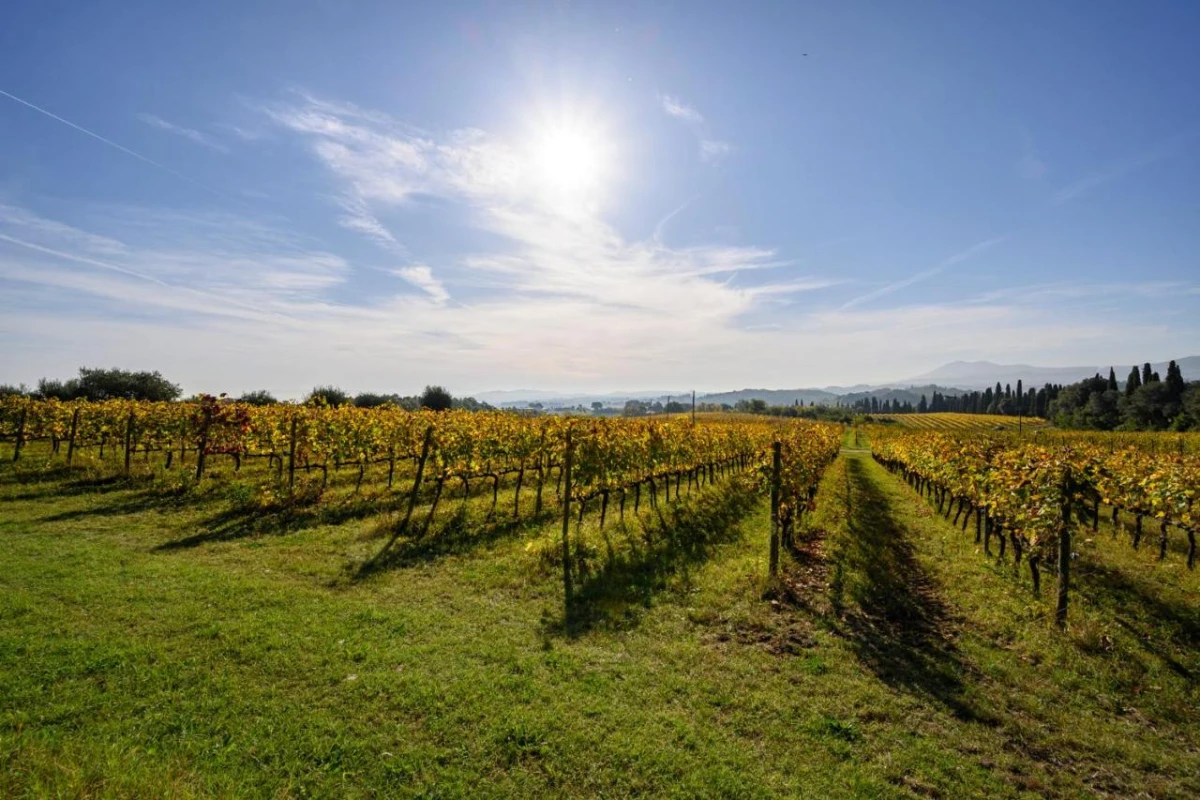 Precise Tale Poggio Alla Sala - Hotel Photo 40