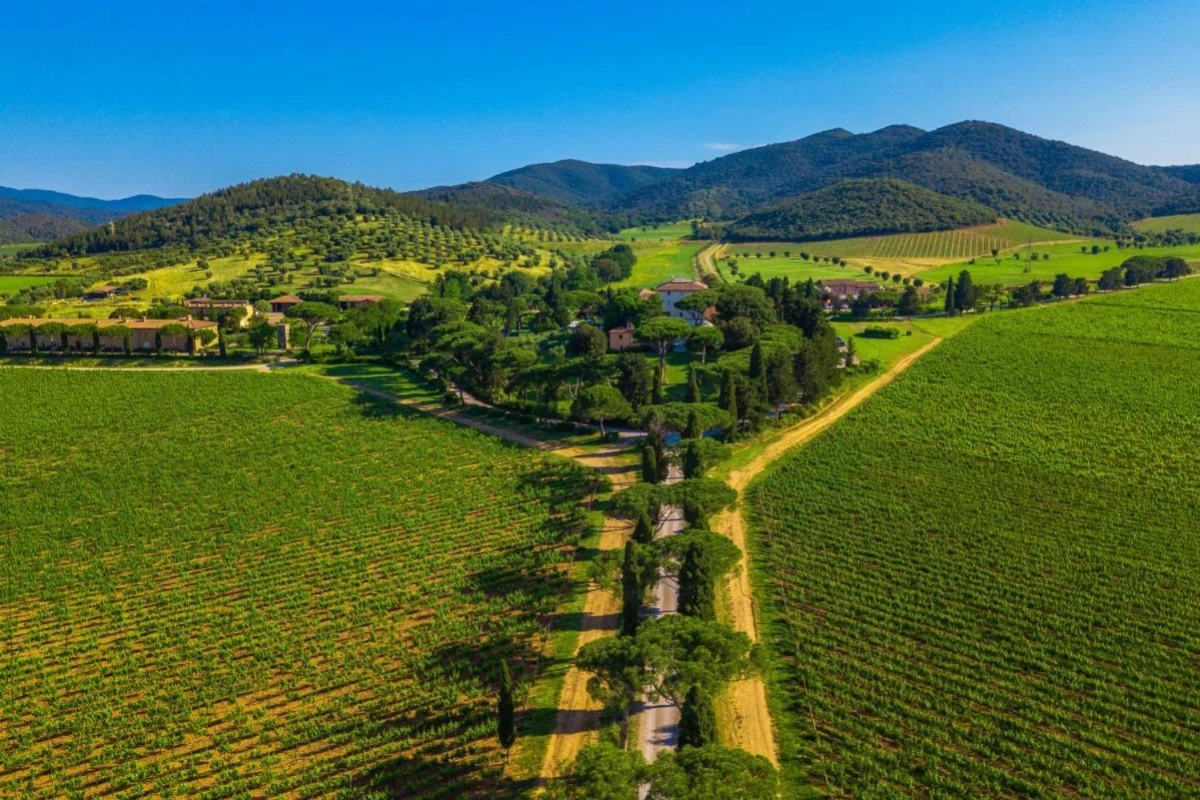 L'Andana Tenuta La Badiola - Hotel Photo 11