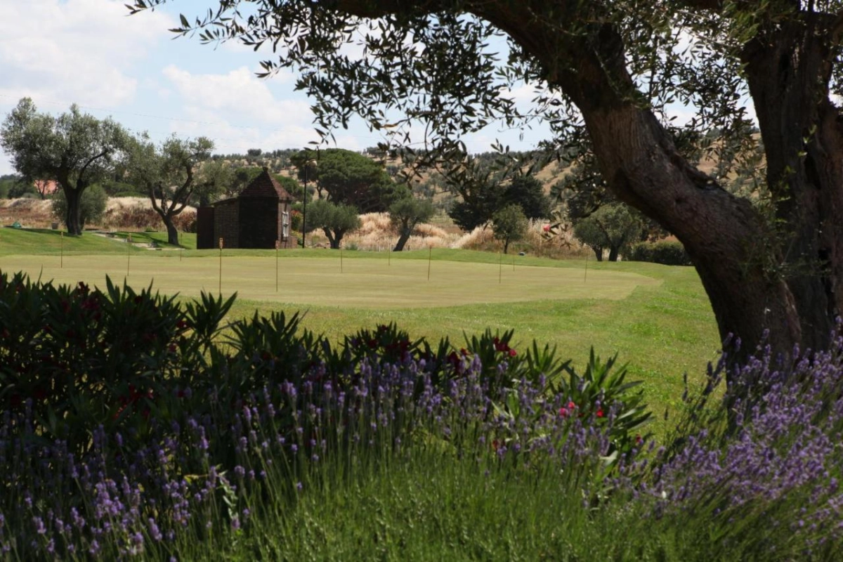 L'Andana Tenuta La Badiola - Hotel Photo 39