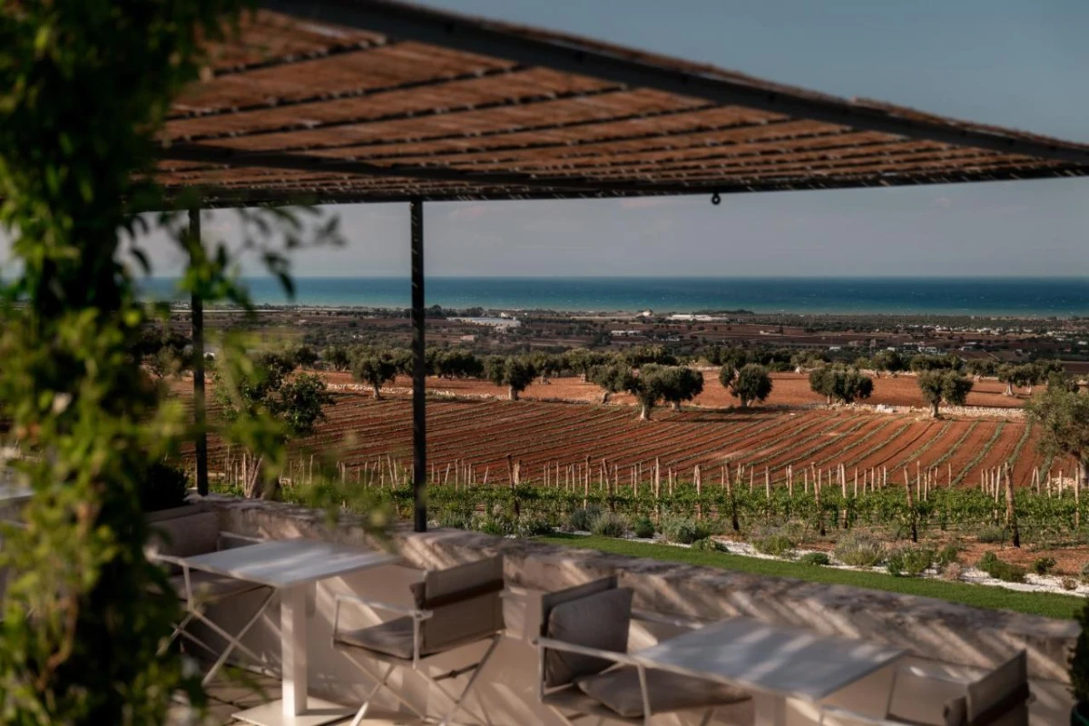 Masseria Auraterrae - Hotel Photo 48