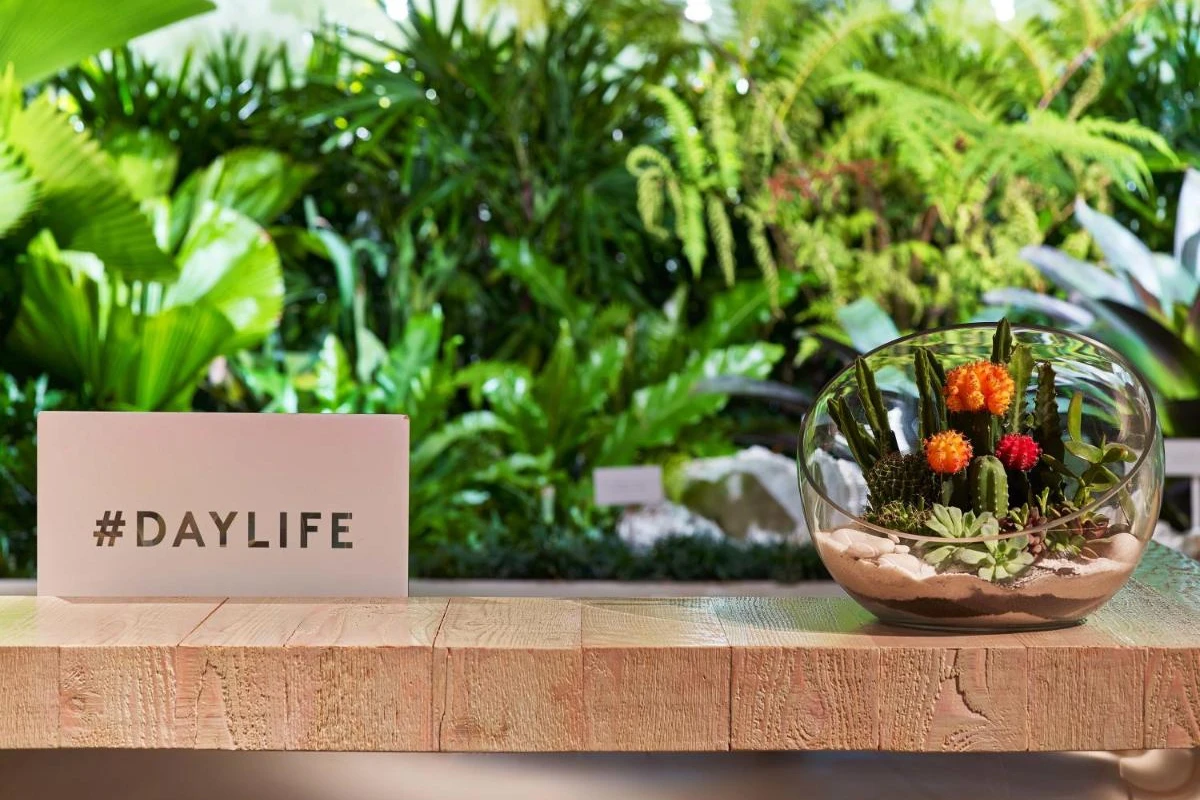 1 Hotel South Beach - Hotel Photo 12