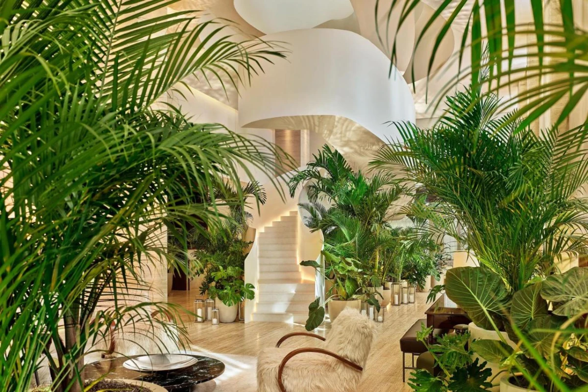 The Tampa Edition - Hotel Photo 4