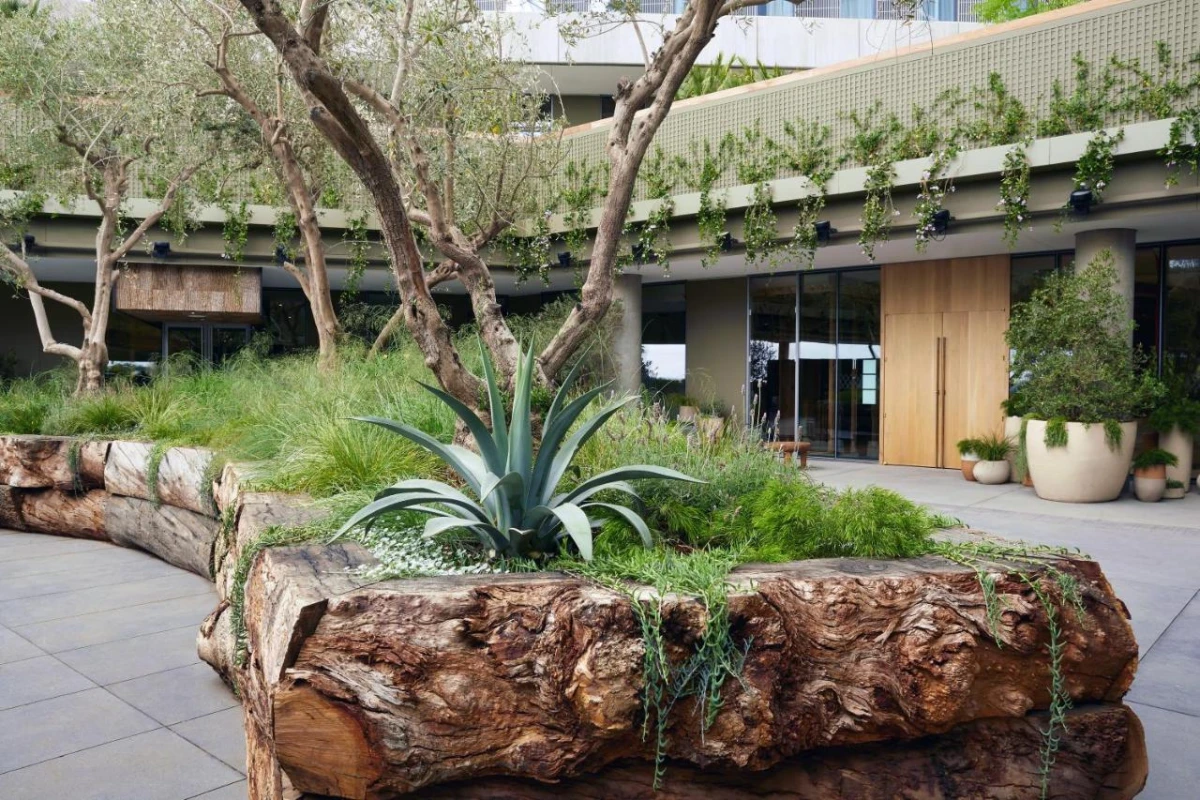 1 Hotel West Hollywood - Hotel Photo 3