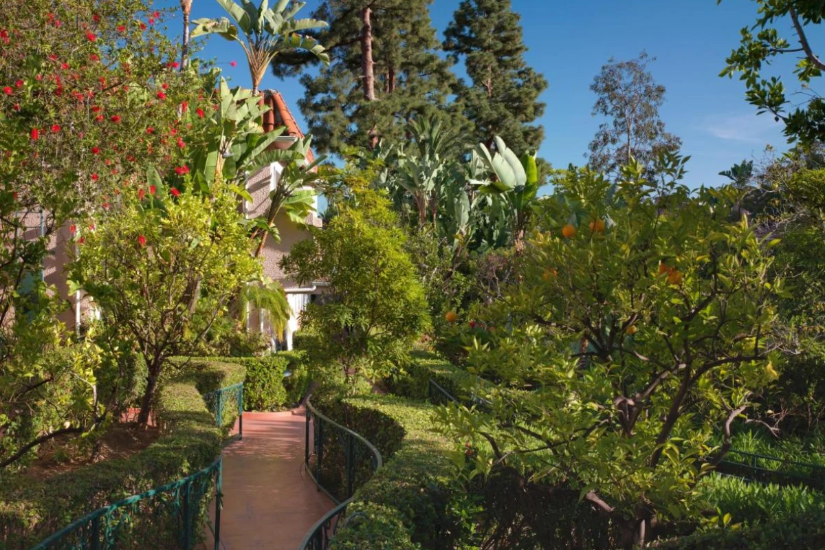 The Beverly Hills Hotel - Hotel Photo 32