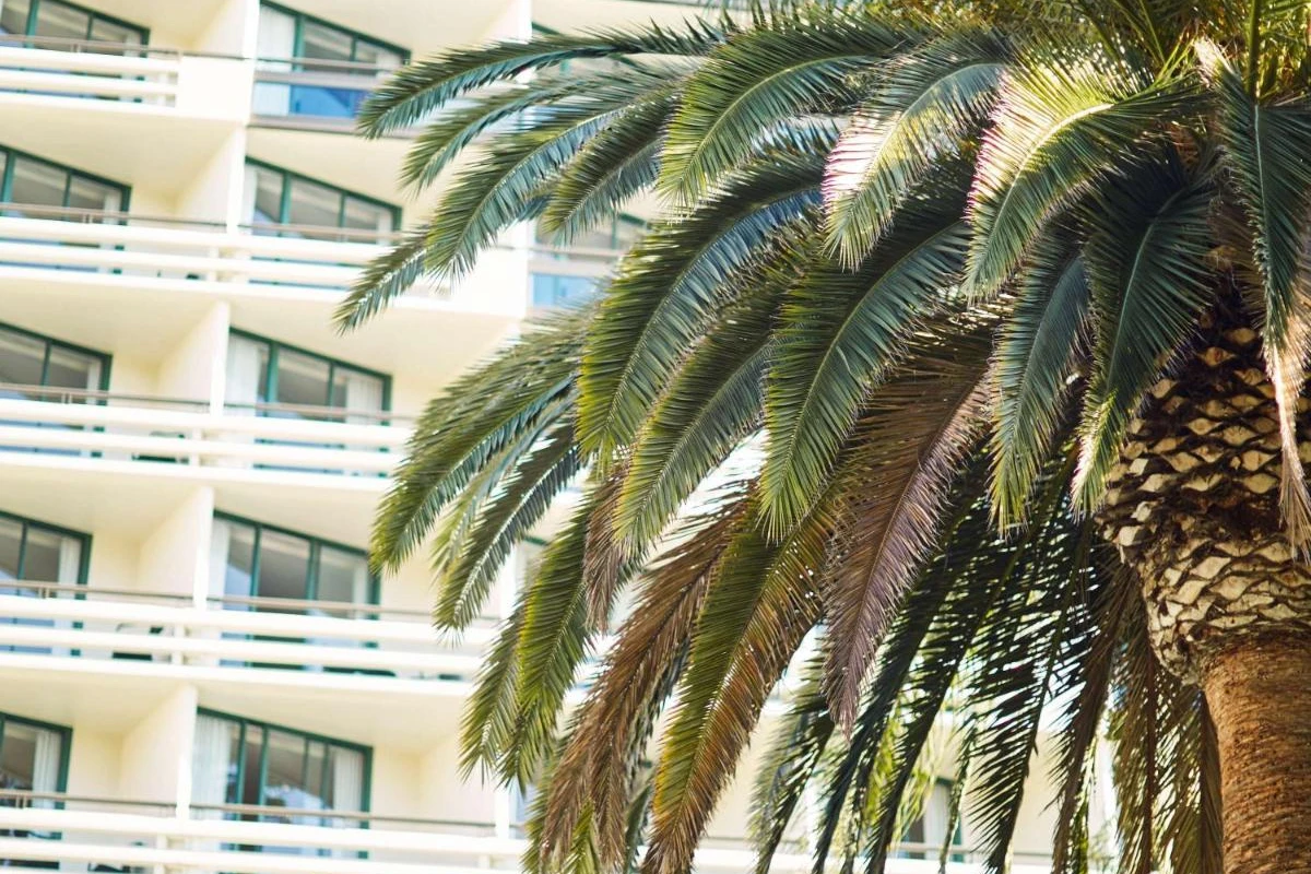 Fairmont Miramar Hotel & Bungalows - Hotel Photo 39