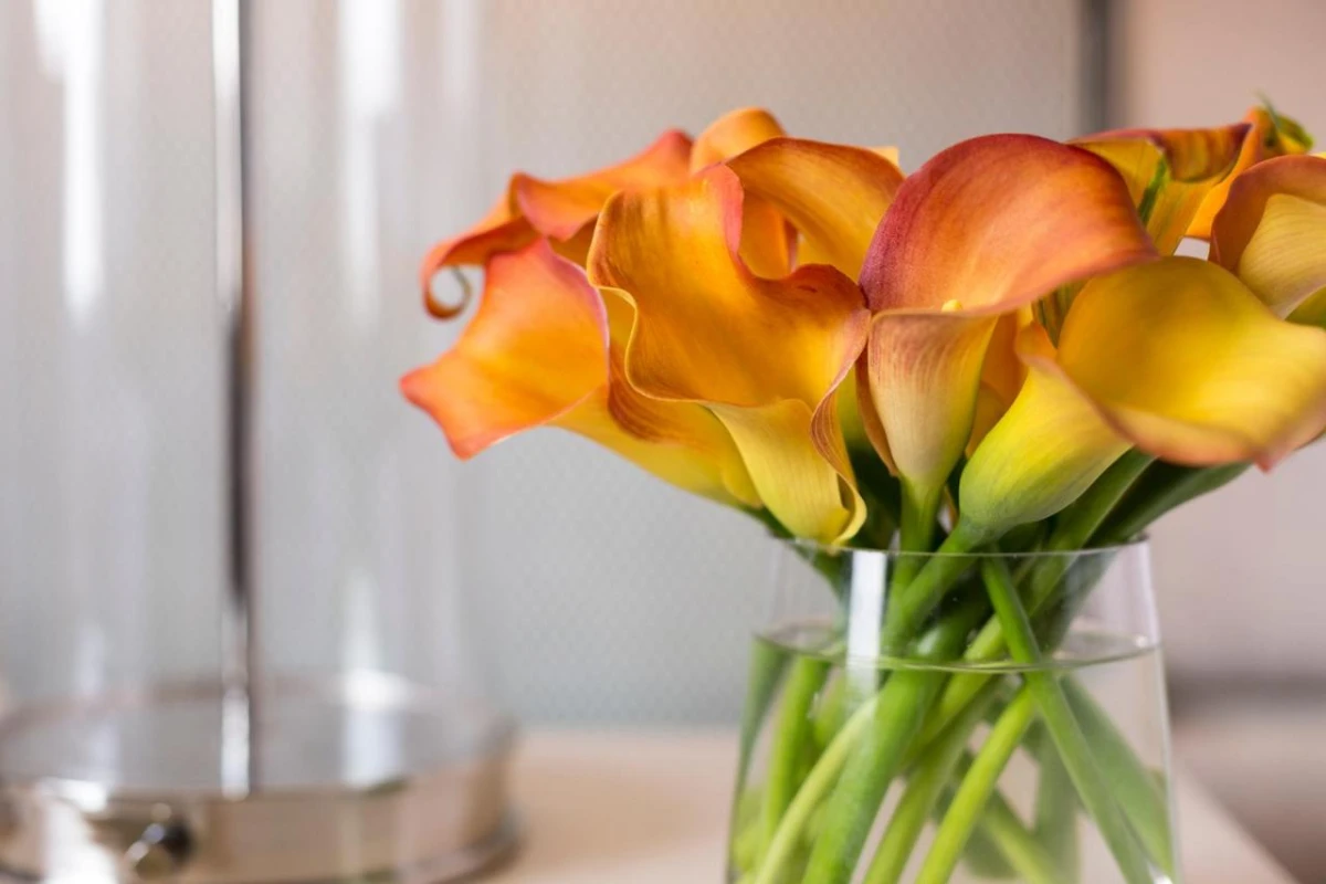 Four Seasons Hotel Atlanta - Hotel Photo 4