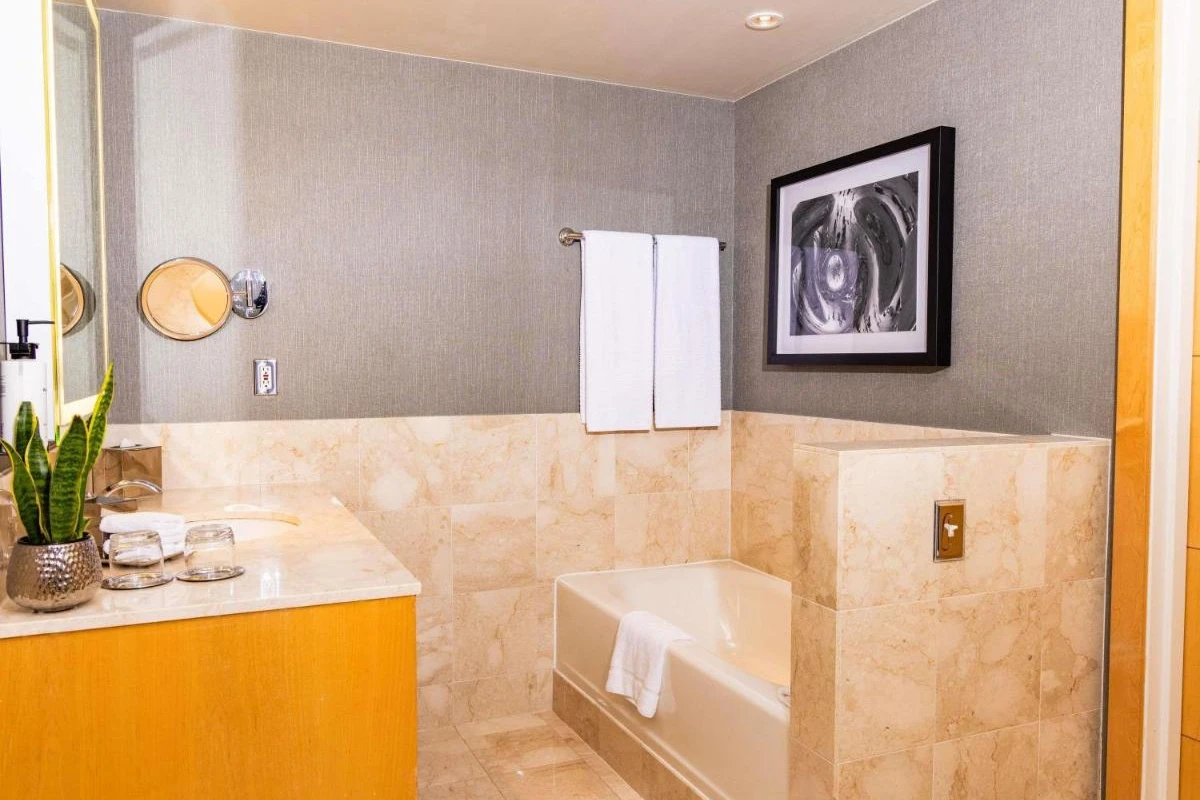 Sofitel Chicago Magnificent Mile - Hotel Photo 17