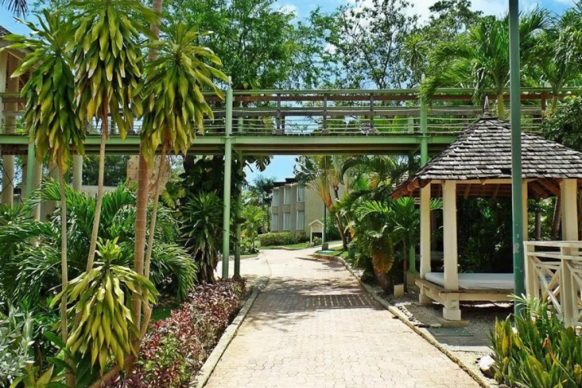 Hedonism II - Hotel Photo 18