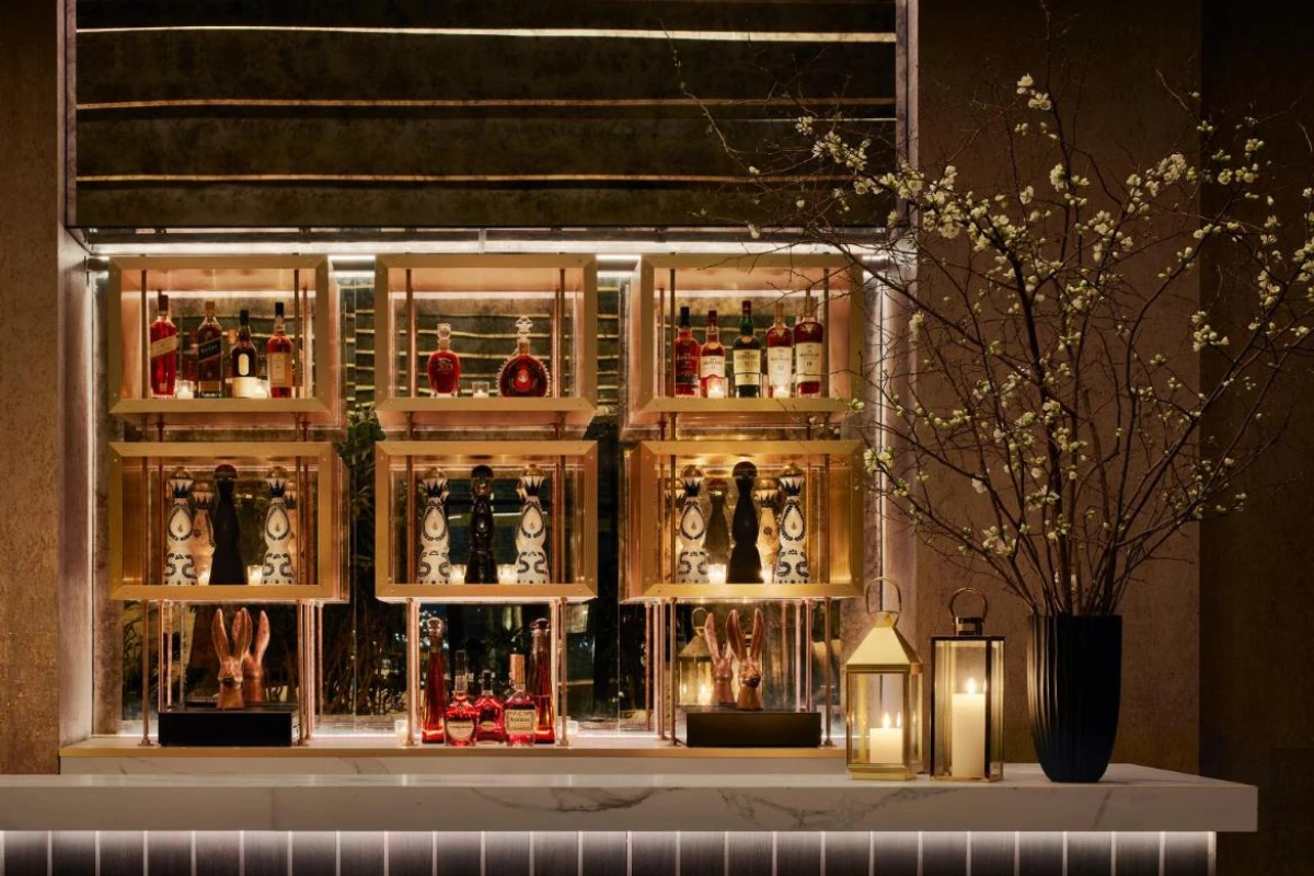 Gansevoort Meatpacking NYC - Hotel Photo 19