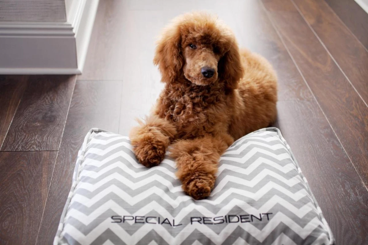 WestHouse Hotel New York - Hotel Photo 3