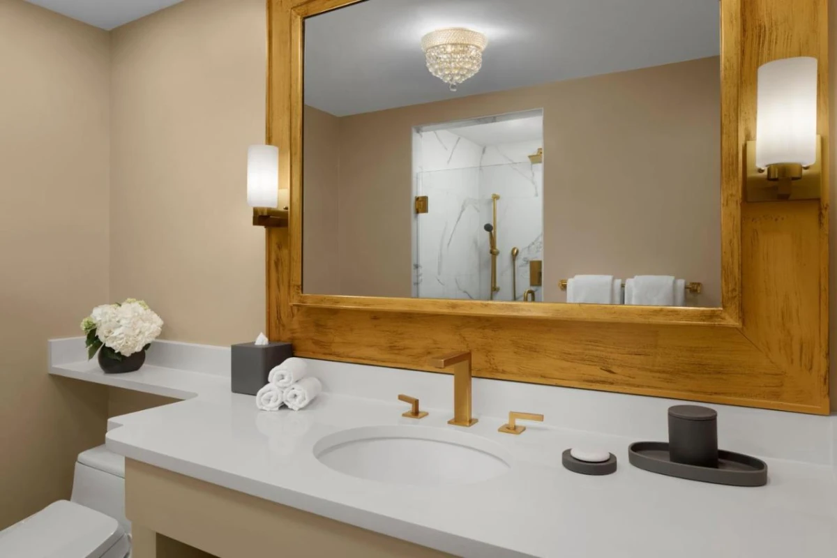 The St. Regis Washington DC - Hotel Photo 27