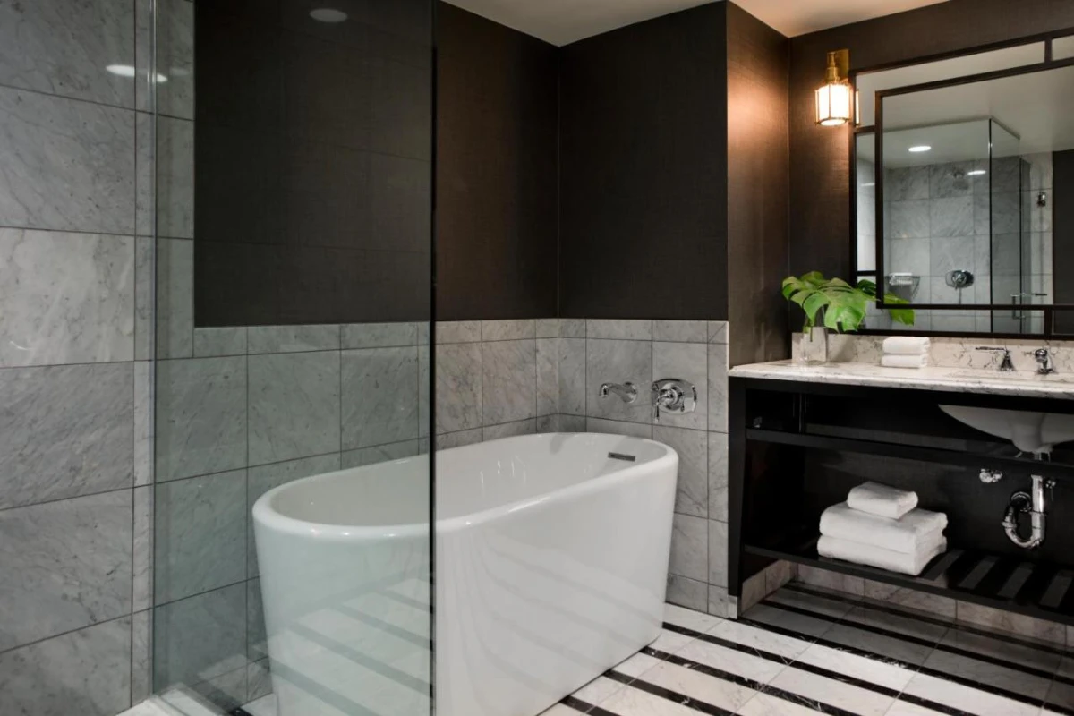 Viceroy Washington DC - Hotel Photo 18