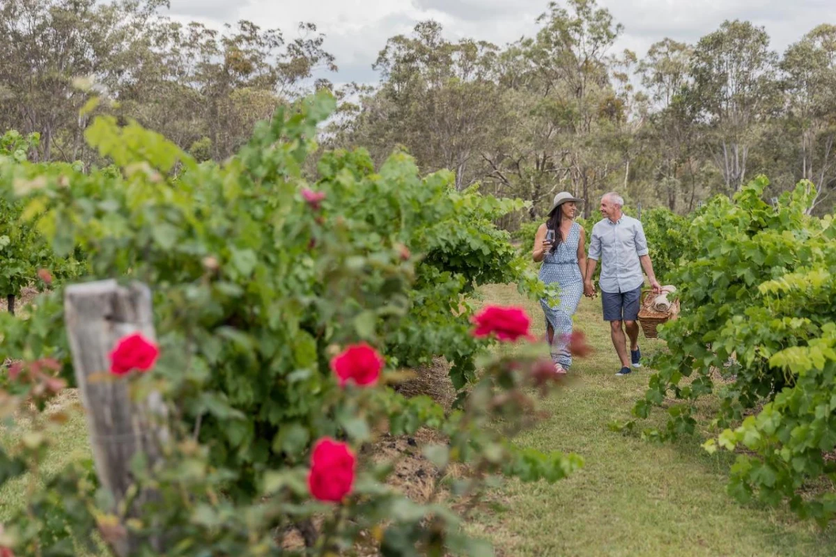 Spicers Vineyards Estate - Hotel Photo 8