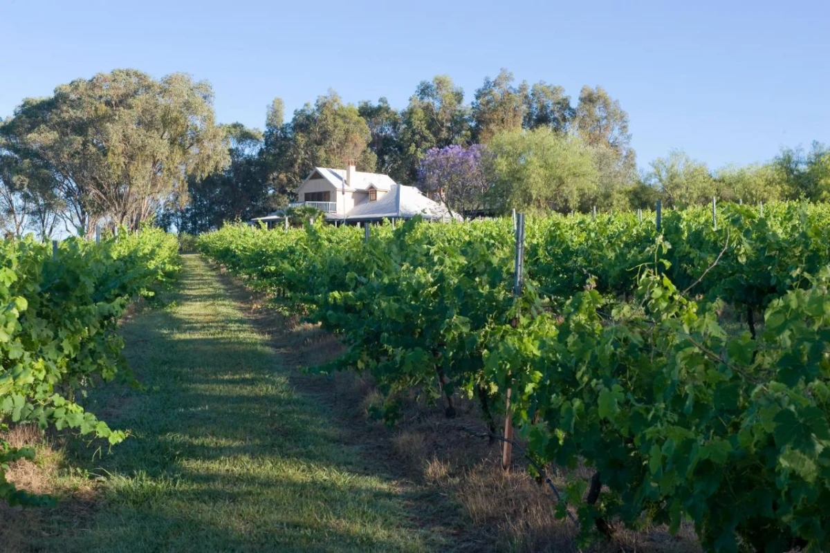 Spicers Vineyards Estate - Hotel Photo 32
