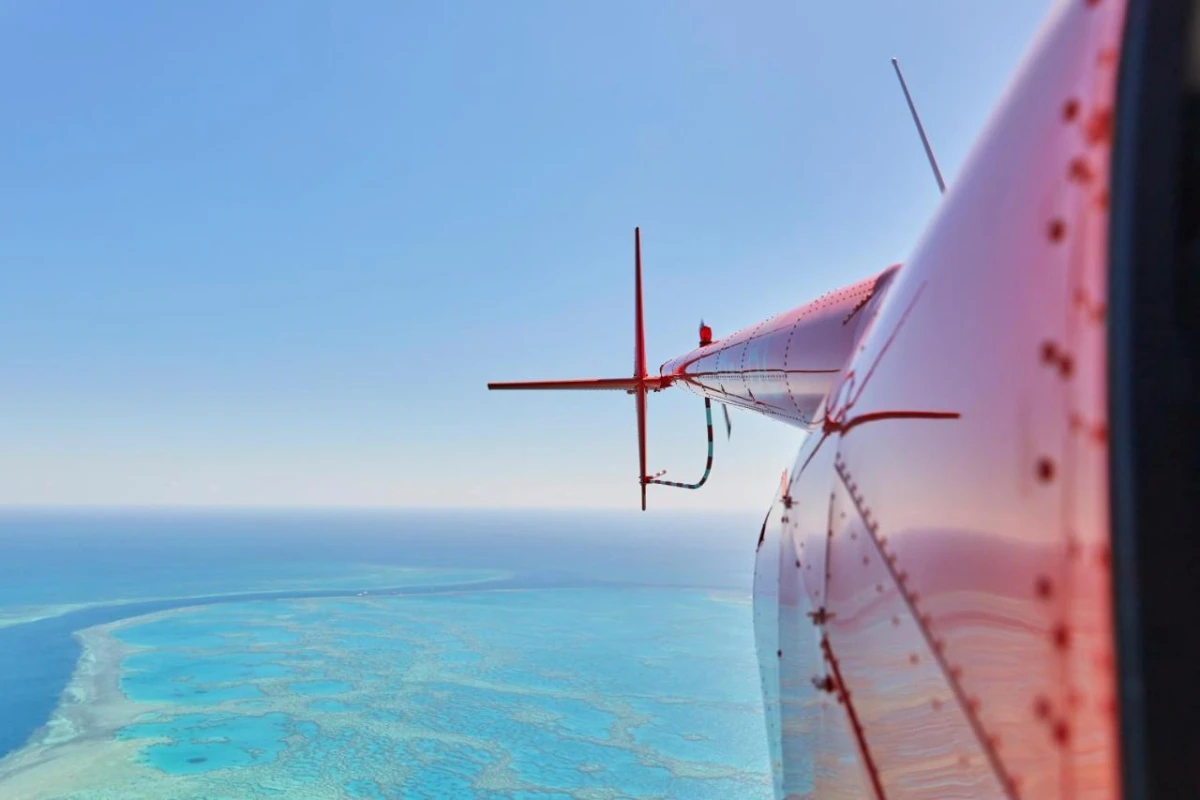 Hamilton Island Beach Club - Hotel Photo 9