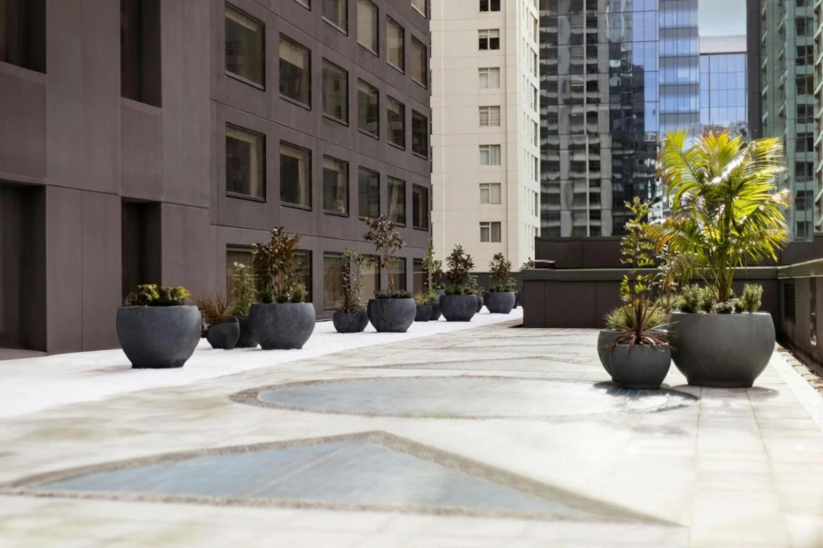 JW Marriott Auckland - Hotel Photo 14