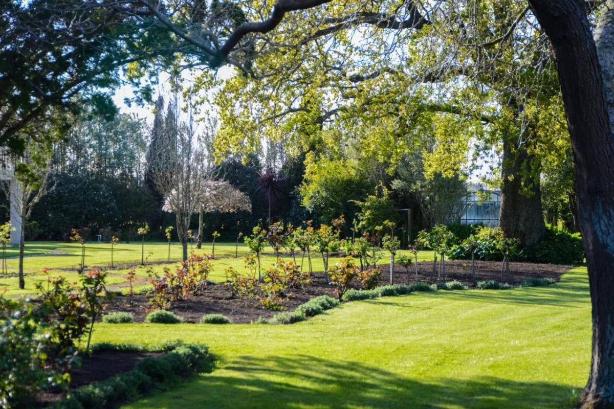 Mangapapa Hotel - Hotel Photo 33