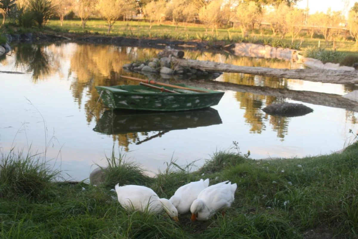 The Peppertree Luxury Accommodation - Hotel Photo 12