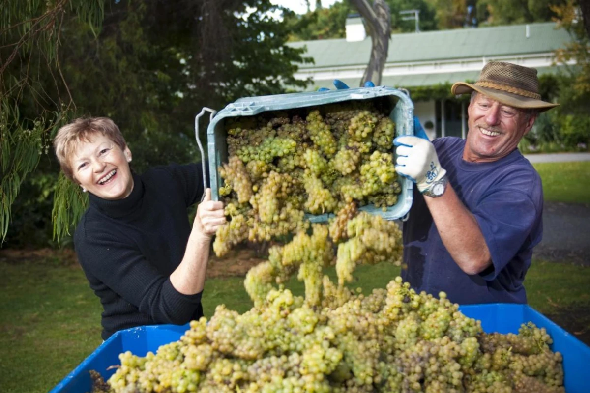 The Peppertree Luxury Accommodation - Hotel Photo 13