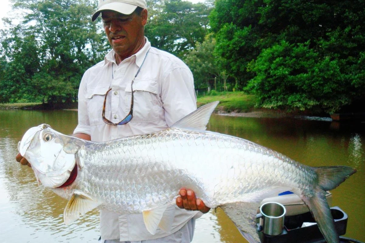 The Royal Corin Thermal Water & Spa Resort - Hotel Photo 12