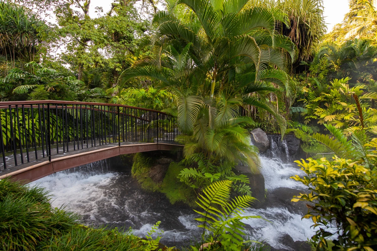 Tabacon Thermal Resort & Spa - Hotel Photo 21